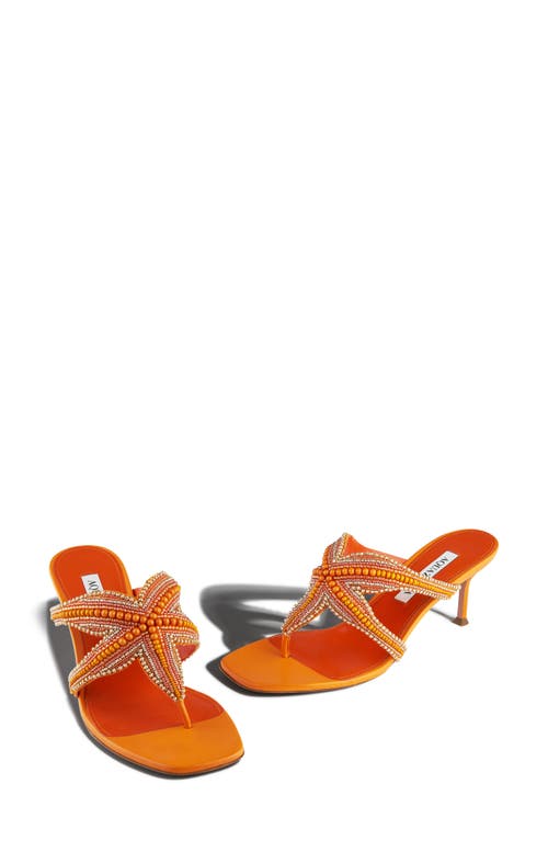Aquazzura Reef Star Sandal