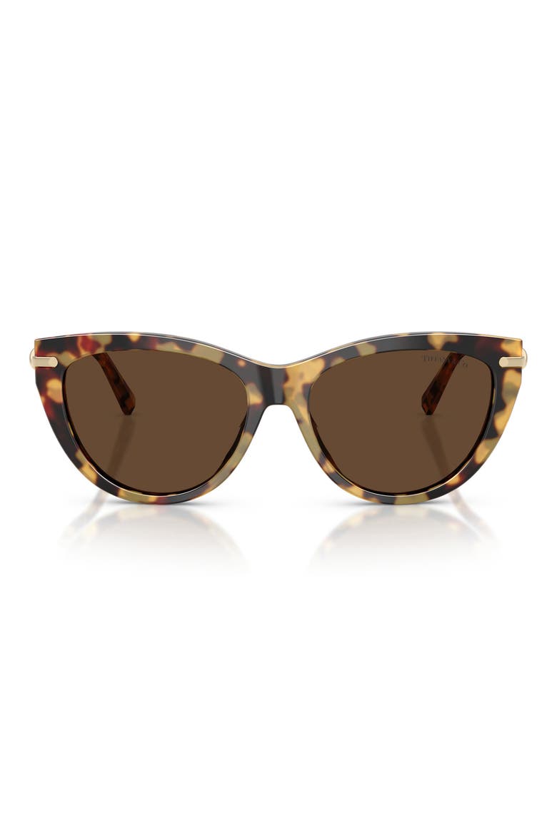 55mm Cat Eye Sunglasses, Main, color, BLONDE HAVANA / LIGHT BROWN