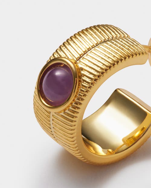 Katie Loxton 'february' Waterproof Gold Birthstone Hoop Earrings In Gold