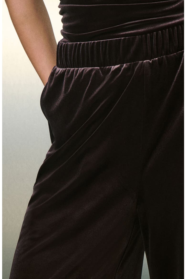 Stretch Velvet Wide Leg Pants, Alternate, color, MOCHA BROWN