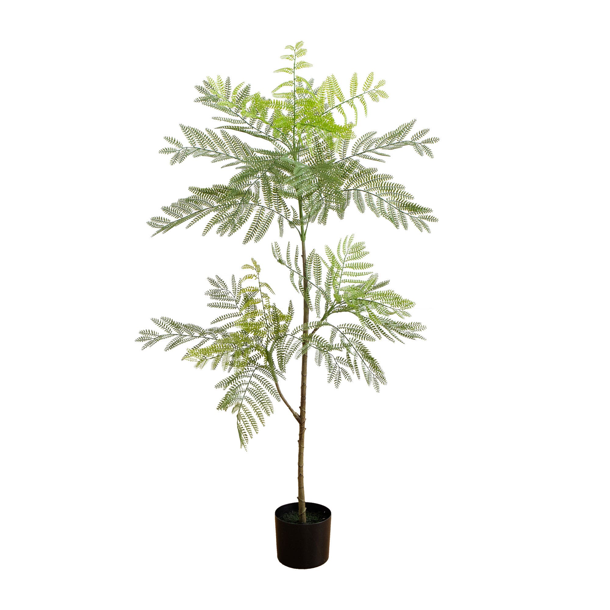 selected Green