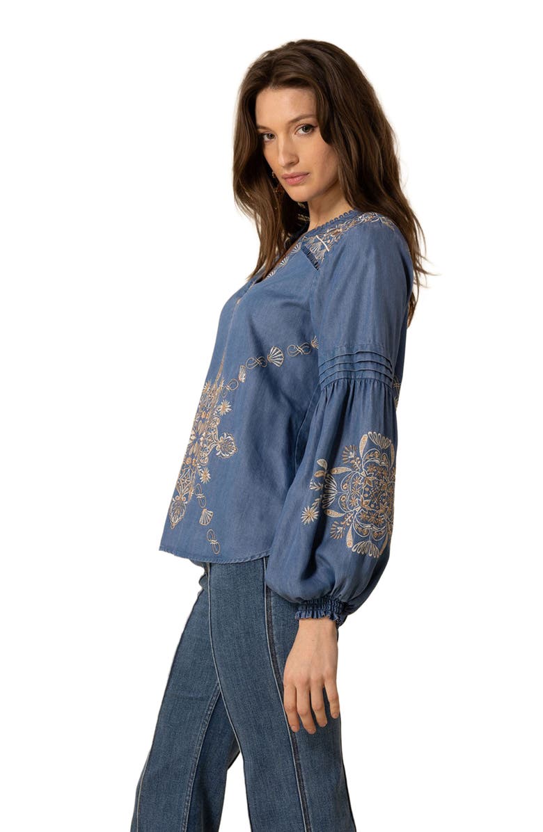 Hale Bob Elliott Embroidered Chambray Top, Alternate, color, 