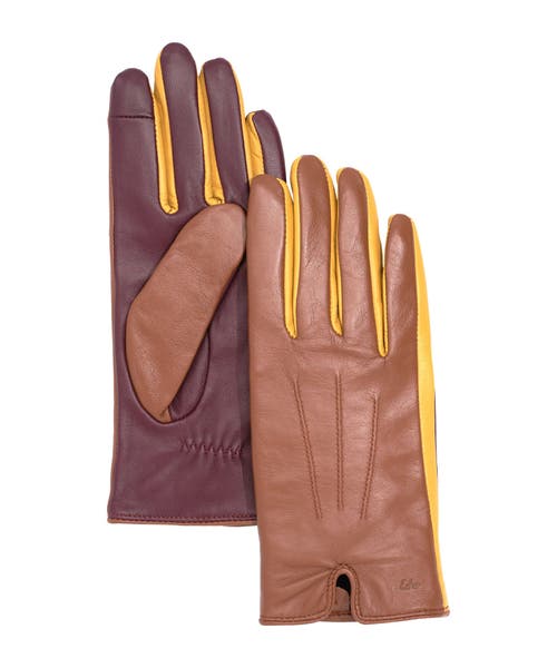 Echo Colorblock Leather Gloves