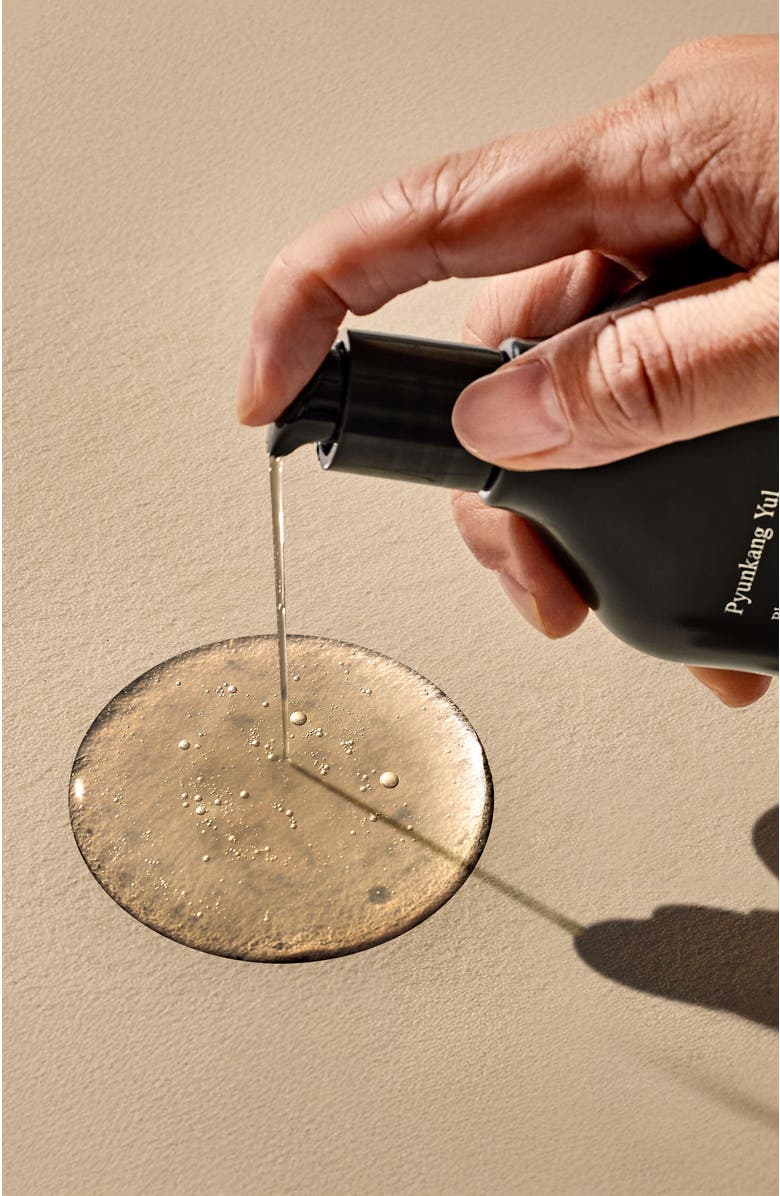 Pyunkang Yul Black Tea Deep Infusion Toner, Alternate, color,