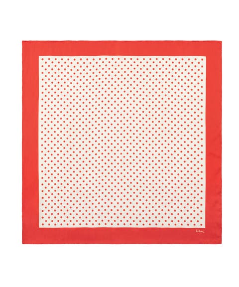 Pin Dot Silk Scarf