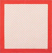 Echo Pin Dot Silk Scarf