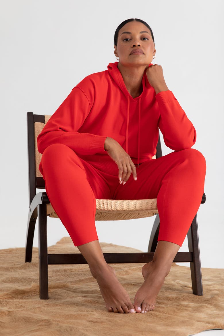 The Sweater Hoodie, Alternate, color, CHERRY
