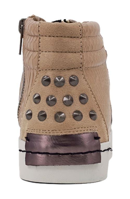Shushop Reese High Top Sneaker In Brown