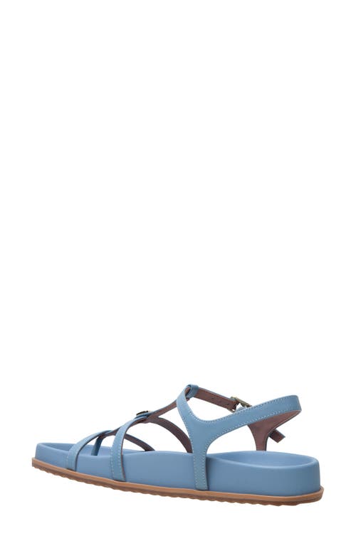 Shop Linea Paolo Lilith Ankle Strap Sandal
