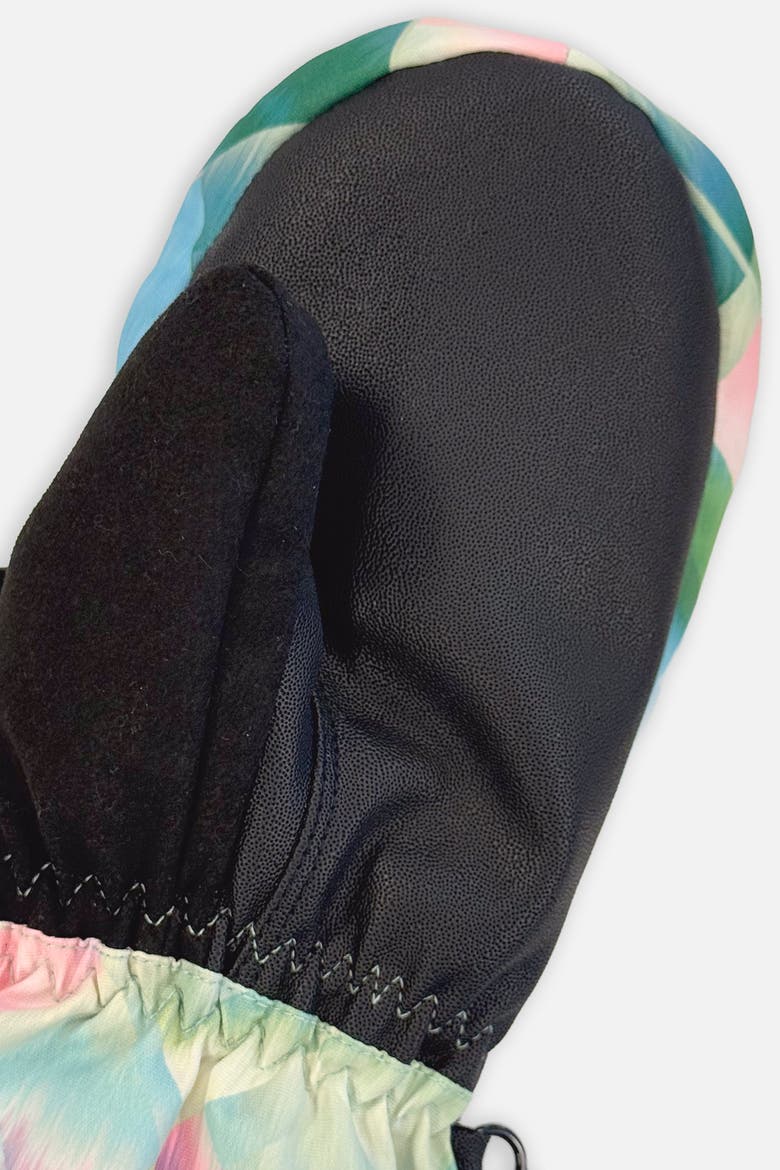 Diamond Teknik Waterproof Cordura Reinforced Winter Mittens, Alternate, color, Multicolored with a Diamond