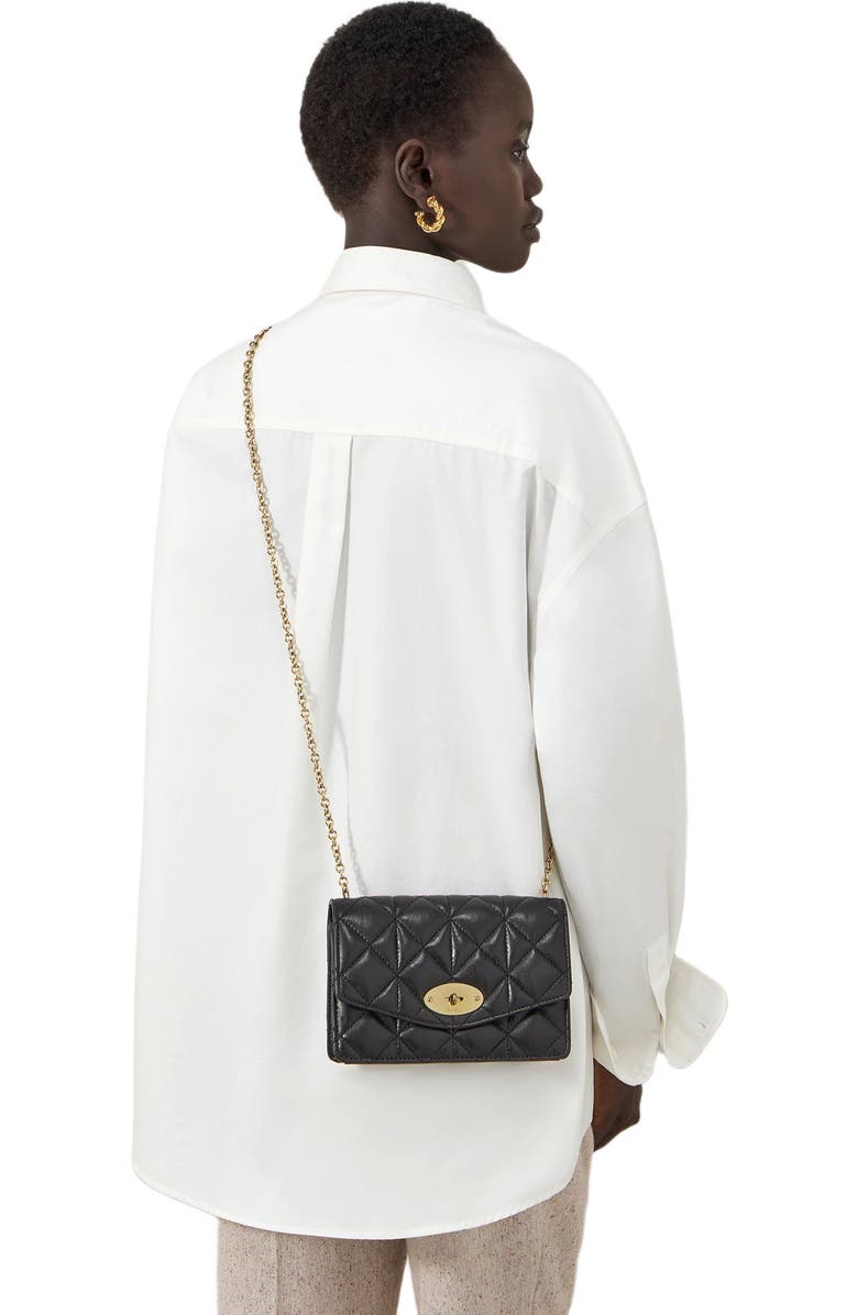Mulberry Small Darley, Alternate, color,