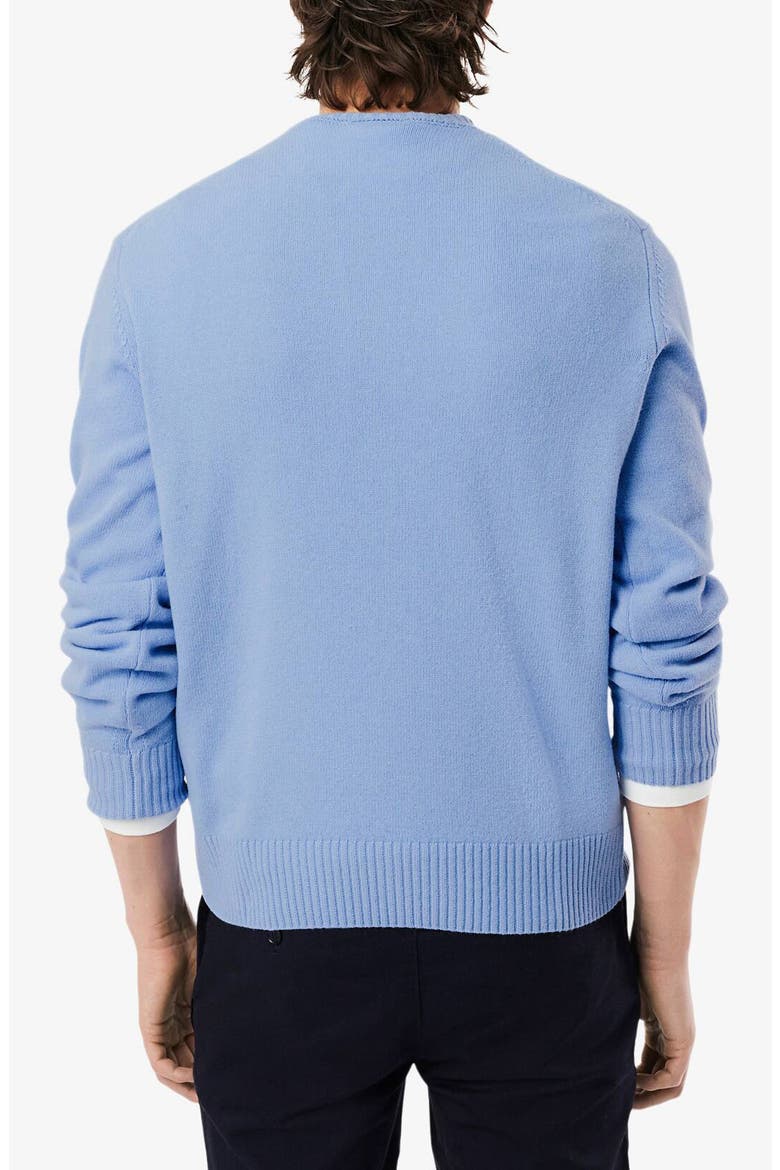 Classic Fit Merino Wool Crewneck Sweater, Alternate, color, OVERVIEW