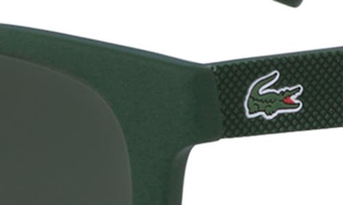 Lacoste 54mm Square Sunglasses In Gray