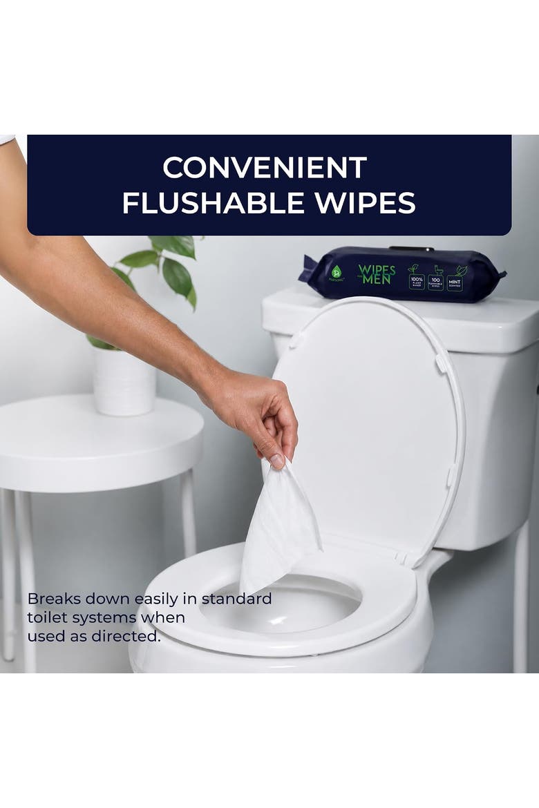 12 Pack of Flushable Wipes, Alternate, color, Black
