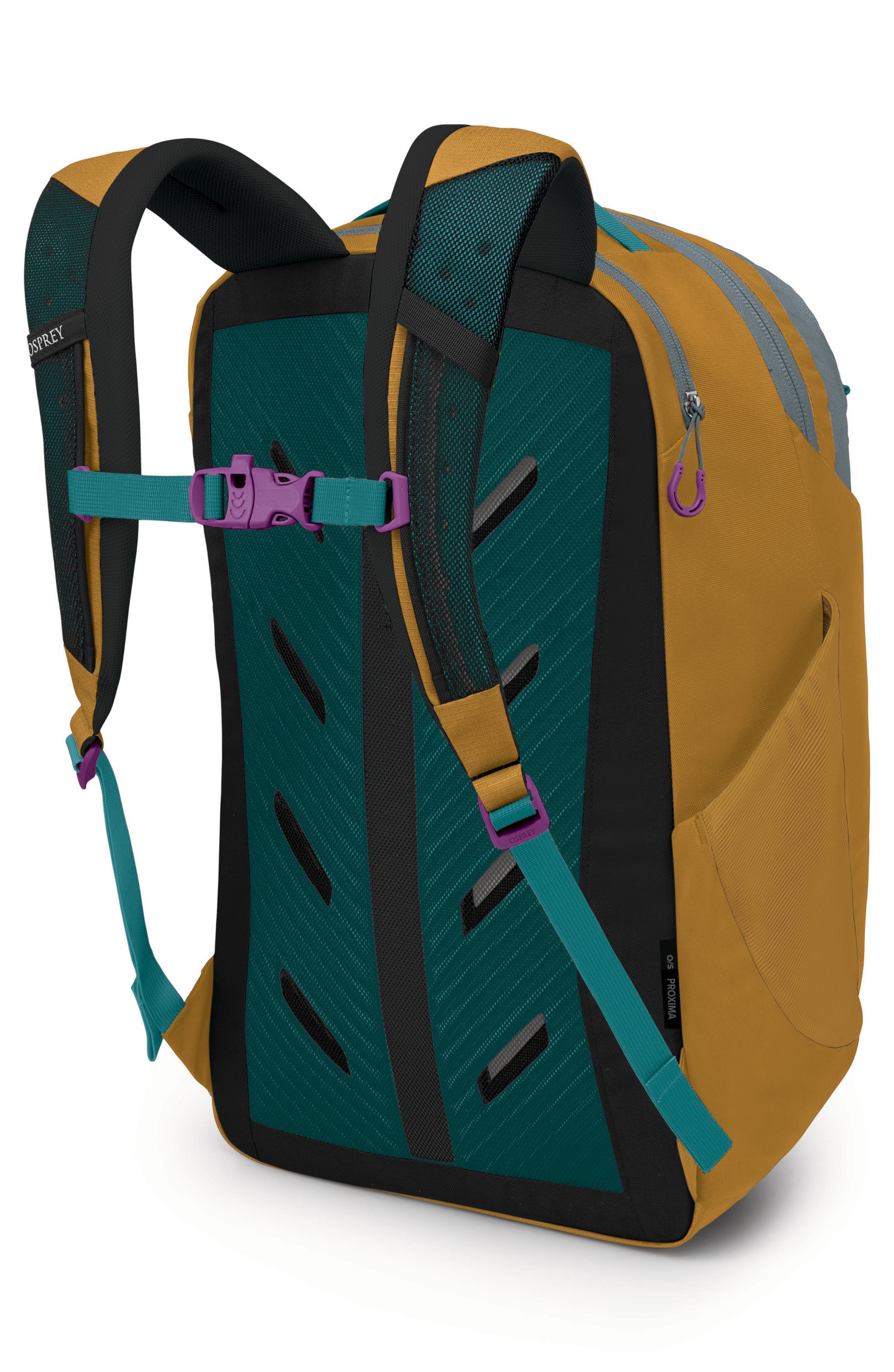 Proxima 30-Liter Campus Backpack, Alternate, color, BARLEY BROWN