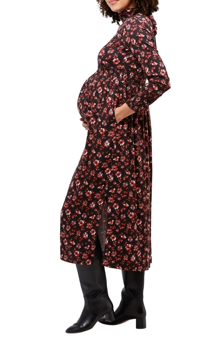 Nom Maternity Victoria Floral Long Sleeve Maternity Dress, Alternate, color,
