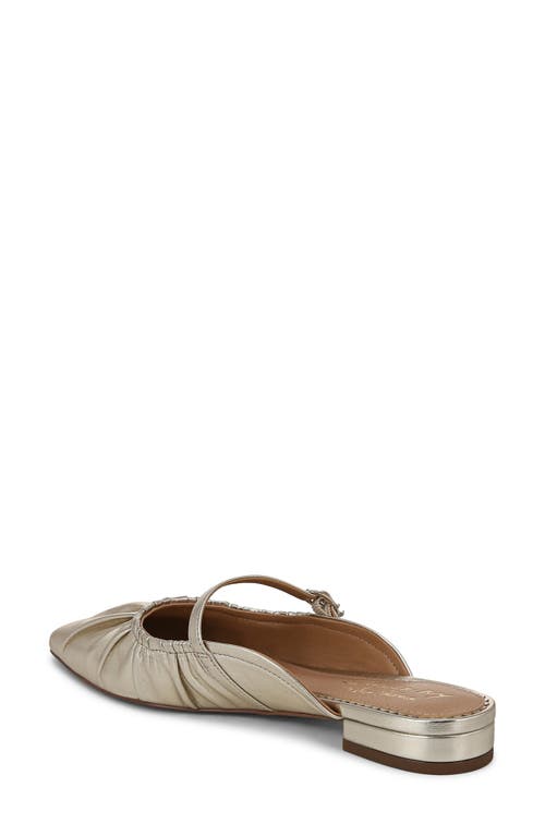 Circus Ny By Sam Edelman Larissah Pointed Toe Mule