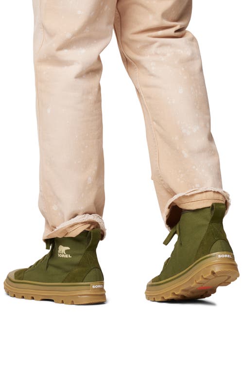 Sorel Scout N About™ Mid Sneaker In Utility Green/gum
