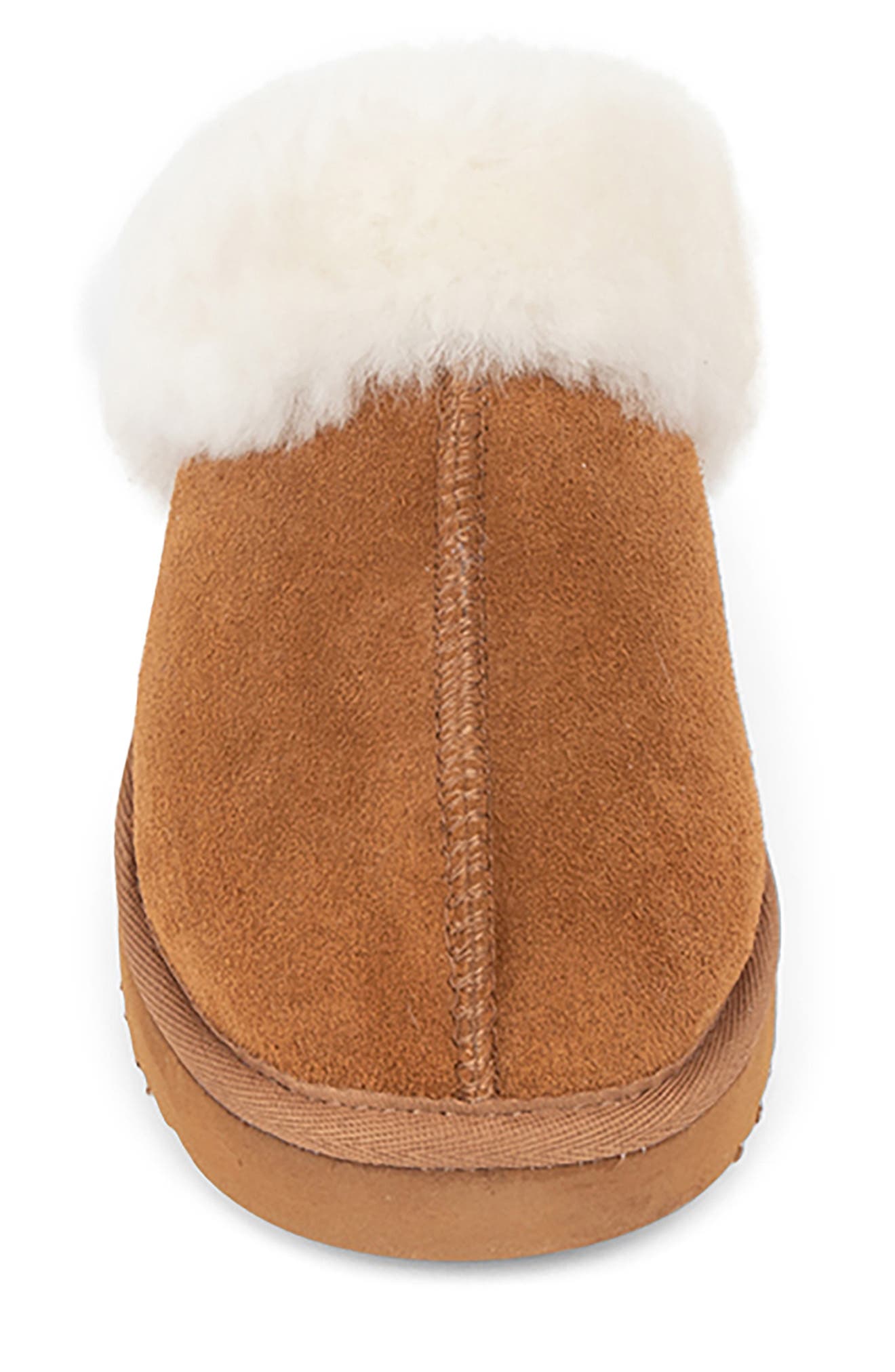 patricia green Clara Genuine Shearling Mule, Alternate, color, 