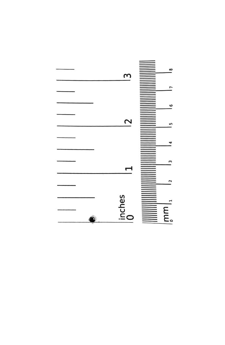 Haus of Brilliance Silver 1/3 Ct Black Diamond Solitaire Stud Earrings, Alternate, color, White