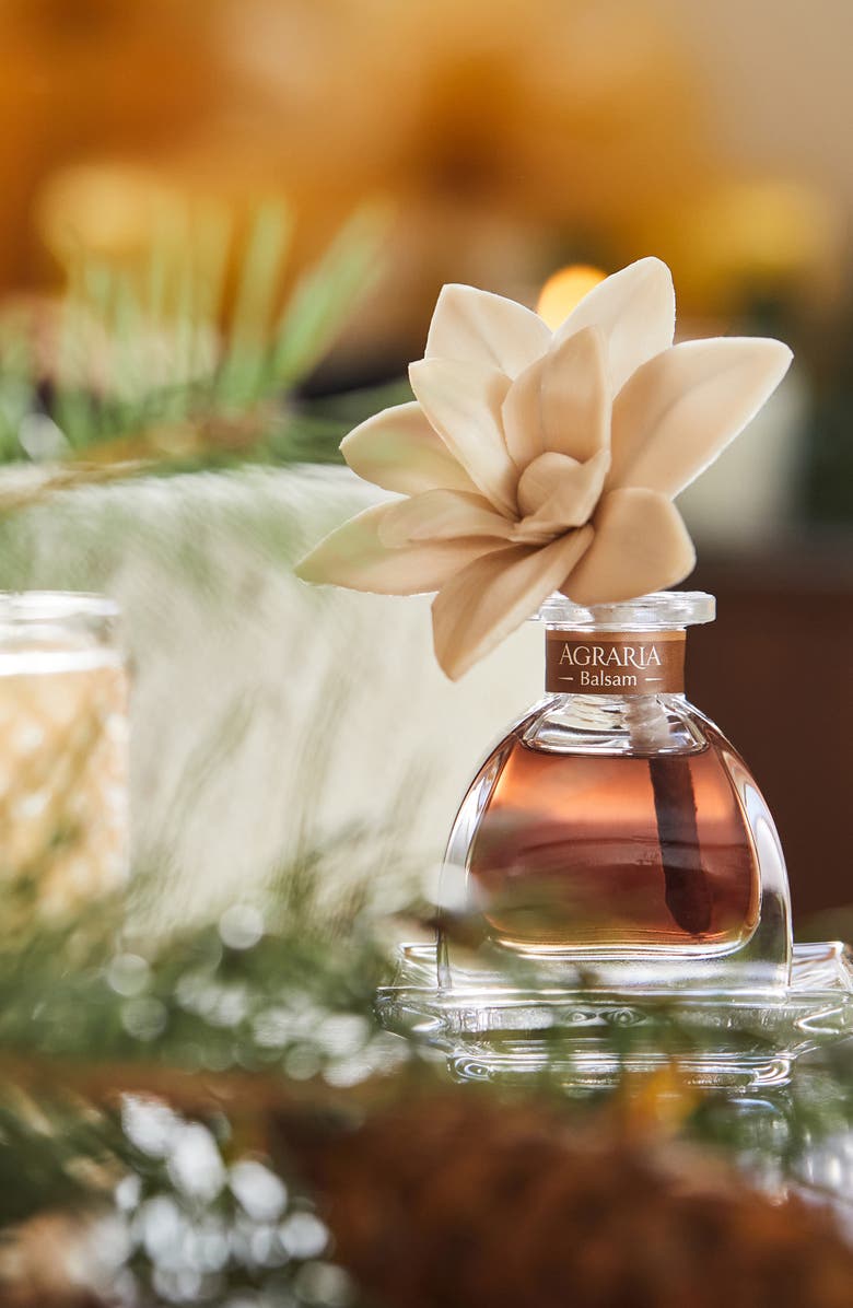 Agraria San Francisco Holiday Petite Diffuser, Alternate, color, Balsam