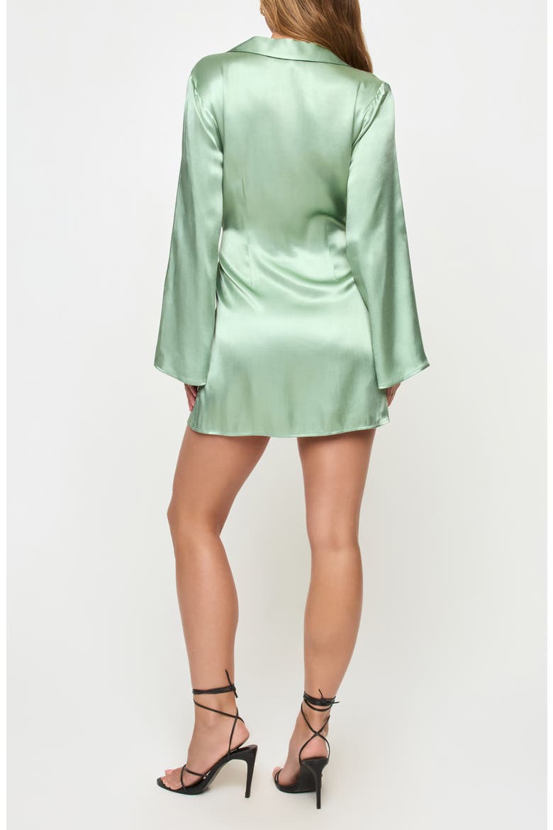 Las Palmas Long Sleeve Minidress, Alternate, color, CELADON