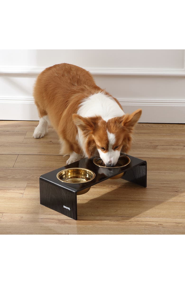The Licker Store Keaton Modern Lucite Rectangular Elevated Pet Feeder with 2-Stainless Steel Bowls, Alternate, color, Black/Gold