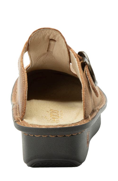 Alegria By Pg Lite Classic Clog In Brown