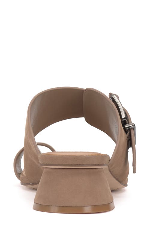 Vince Camuto Lenqua Toe Loop Sandal In Truffle Taupe