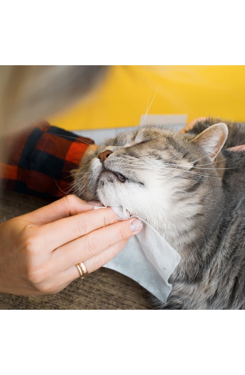 PURSONIC Furry Fresh Pet Wipes - Lavender Scented, 100 Extra Large Wipes, Alternate, color, 