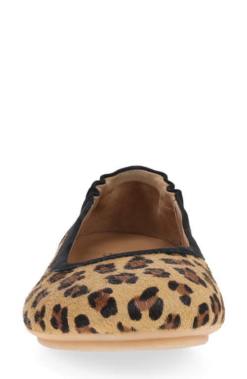 Dansko Madisen Geniune Calf Hair Ballet Flat In Animal Print