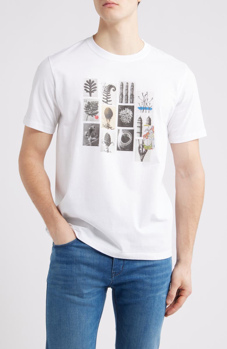 Paul Smith Regular Fit Desert Organic Cotton Graphic T-Shirt, Main, color, White