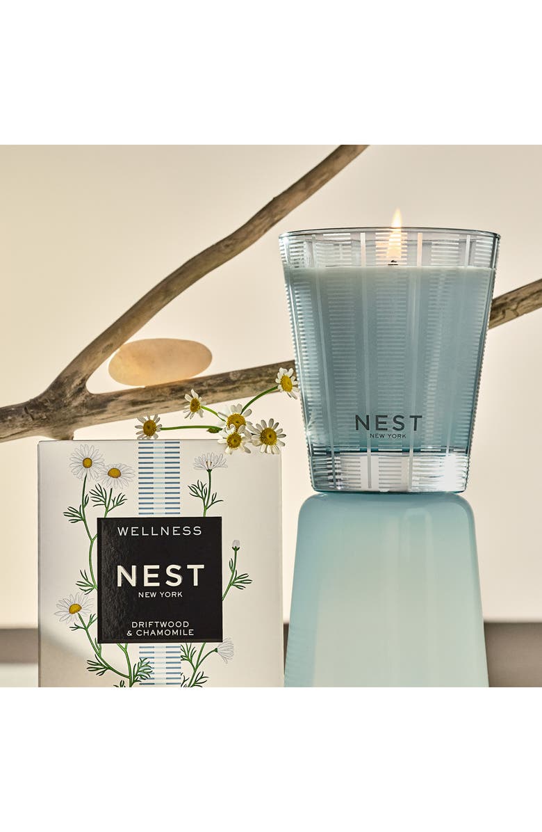 NEST New York Driftwood & Chamomile Scented Candle, Alternate, color,