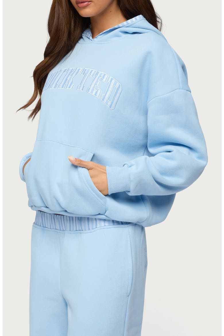 Core Stripe Oversize Hoodie, Alternate, color, BLUE