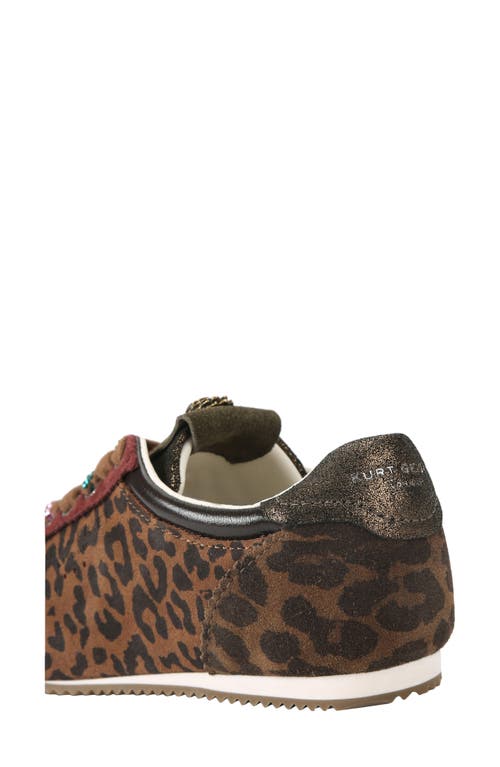 Kurt Geiger London Islington Sneaker In Animal Print