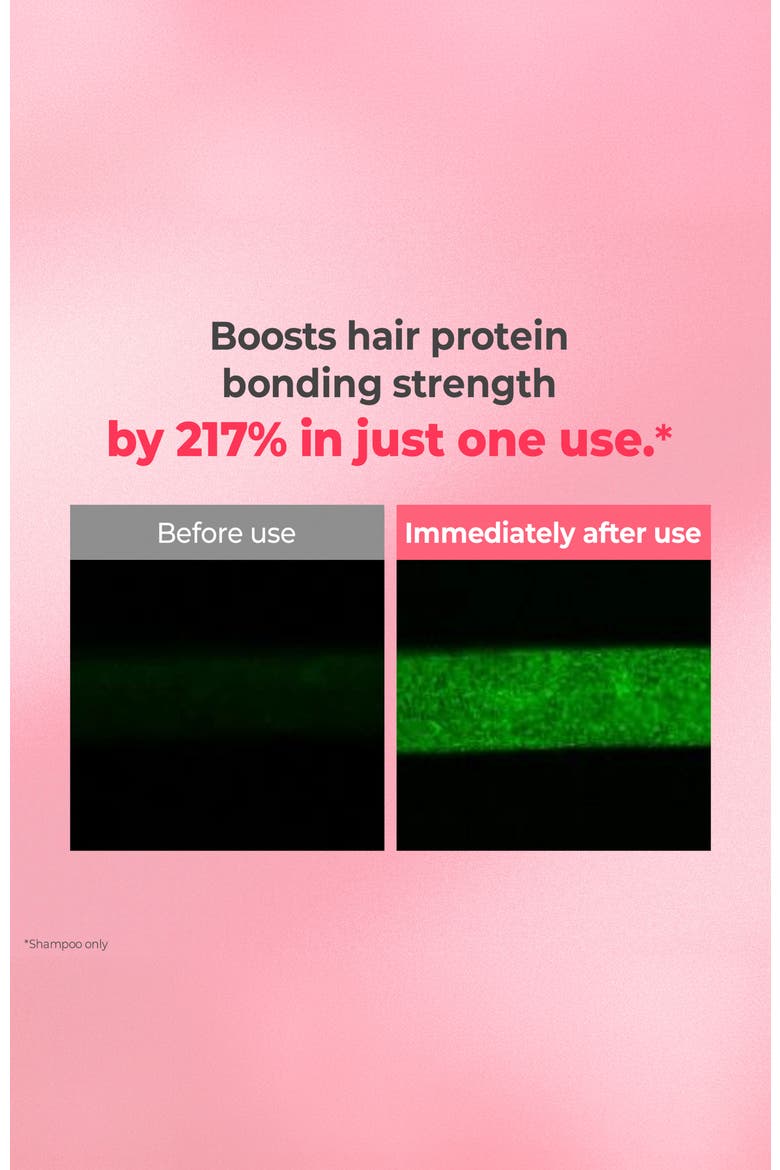 Protein Bonding Care Shampoo Violet Muguet 2 Pack, Alternate, color, 500ml x 2