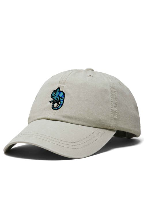 Dalix Chameleon Embroidered Dad Hat In Washed Stone White