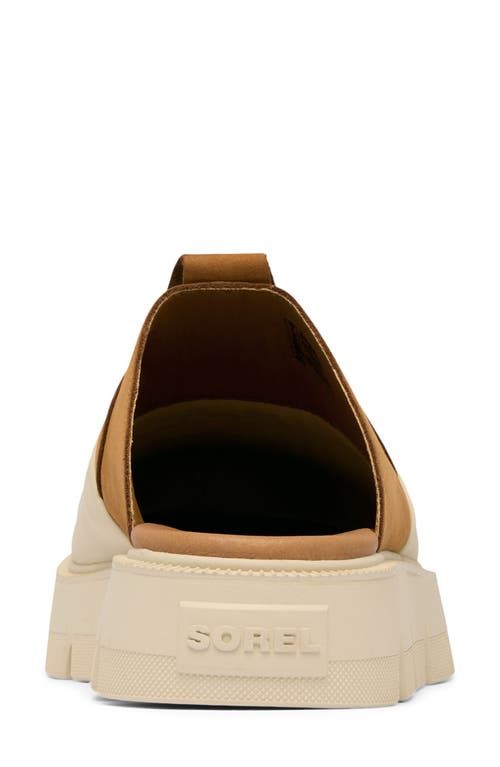 Sorel Rein Cb Clogs In Bleached Ceramic/canyon Gold