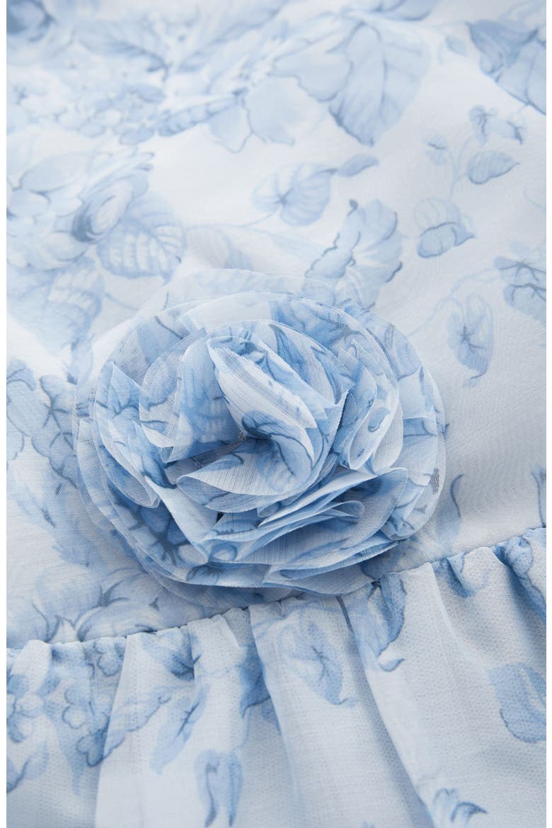 Kids' Puff Sleeve Organza Dress, Alternate, color, BLUE FLORAL
