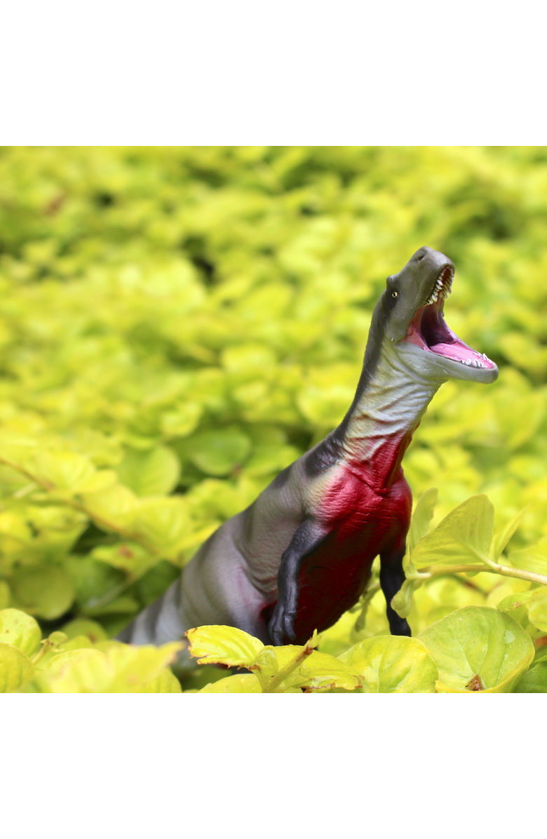 Safari Ltd. Megalosaurus Toy, Alternate, color, NO COLOR