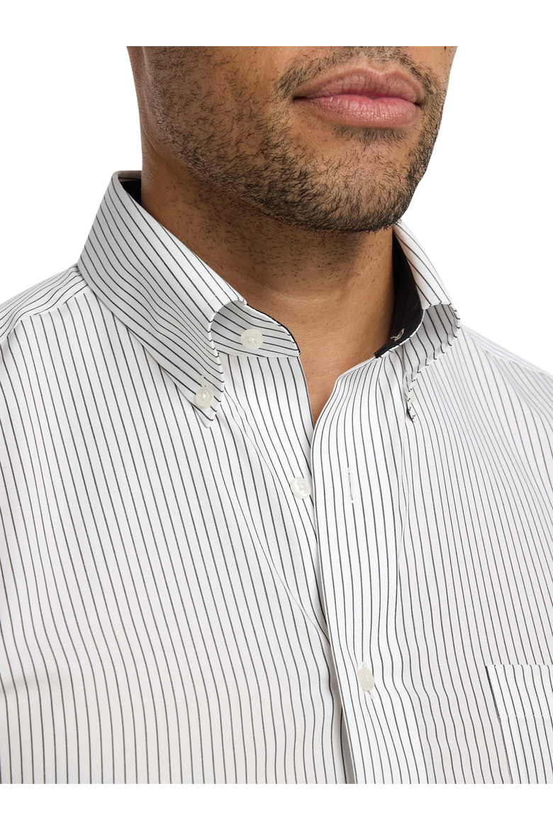 Cotton Buttondown Collar Broadcloth Classic Contrast Trim Button Cuff Long Sleeve Shirt, Alternate, color, Black