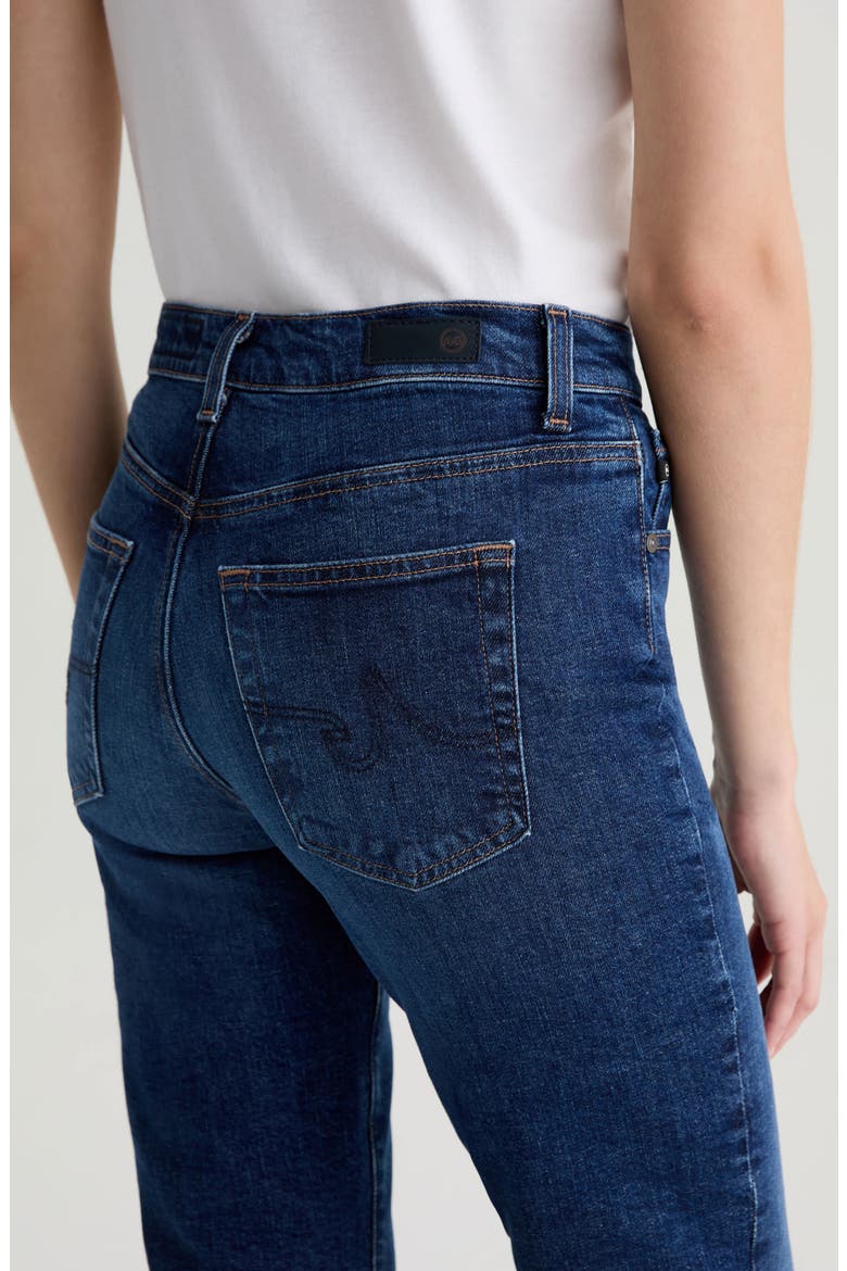 Brinley Classic Straight Leg Jeans, Alternate, color, PLENTIFUL