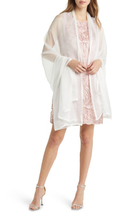 Satin Border Silk Chiffon Scarf