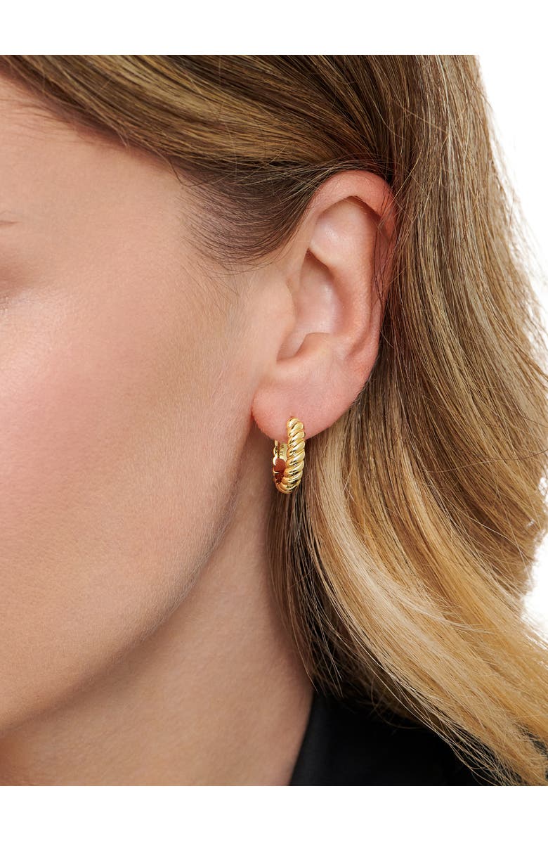 DEVATA Rope Hoop Earrings in Gold Plated Sterling Silver, Alternate, color, Yellow Gold