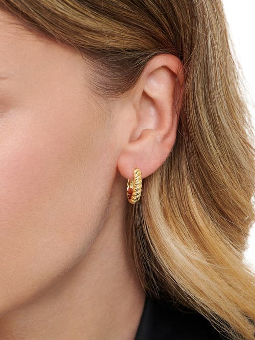 Devata Rope Hoop Earrings In Gold