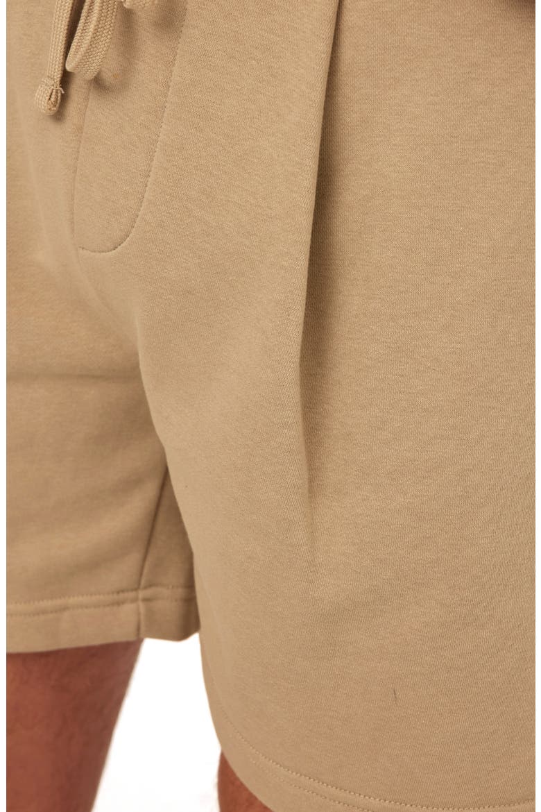 Easton Pleated Mineral Wash Terry Cloth Shorts, Alternate, color, PEBBLE