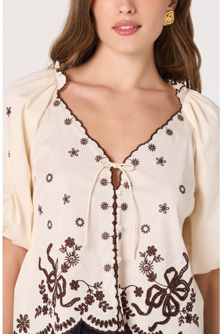 Lucia Embroidered Balloon Sleeve Top, Alternate, color, CREAM