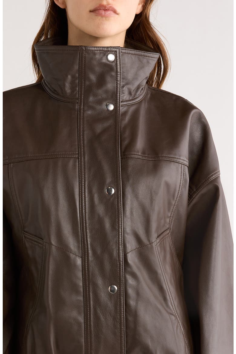 Reinvented Leather Jacket, Alternate, color, EARTH