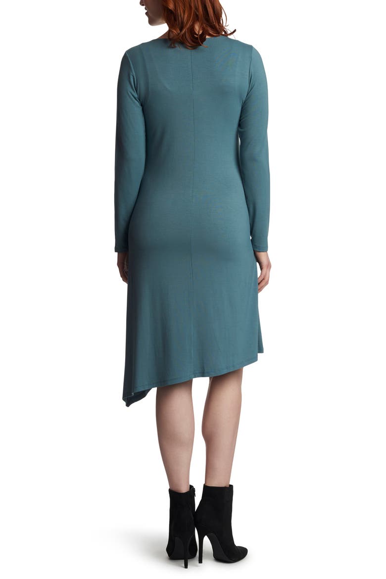 Melissa Long Sleeve Peplum Maternity/Nursing Dress, Alternate, color, MINERAL