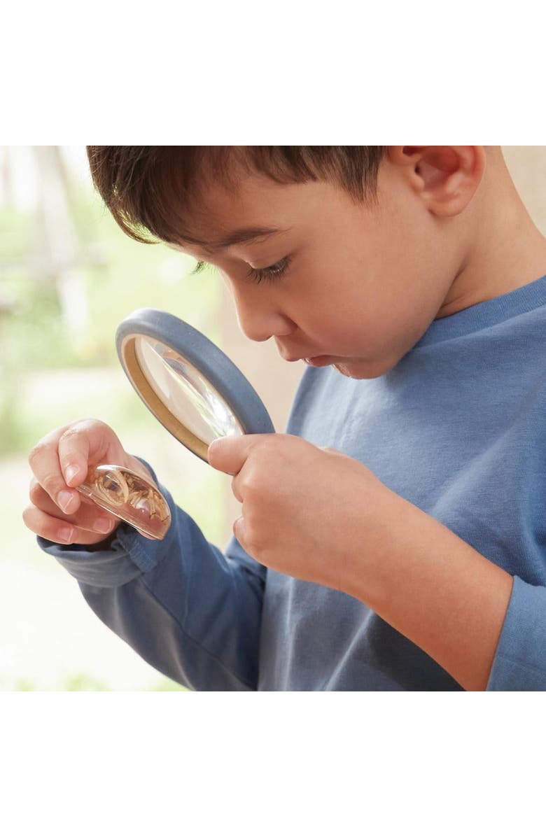 Kaplan Early Learning Company Specimen Stones Sea Creatures - 9 Pieces, Alternate, color, Clear